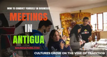 Mastering Business Etiquette: Conducting Yourself in Antigua's Meetings