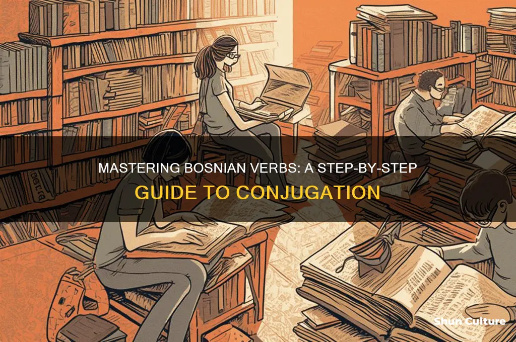 how to conjugate bosnian