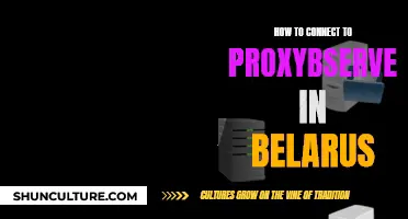 Using Proxy Servers in Belarus: A Secure Guide