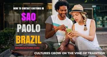 Contacting São Paulo Customs: A Step-by-Step Guide for Travelers