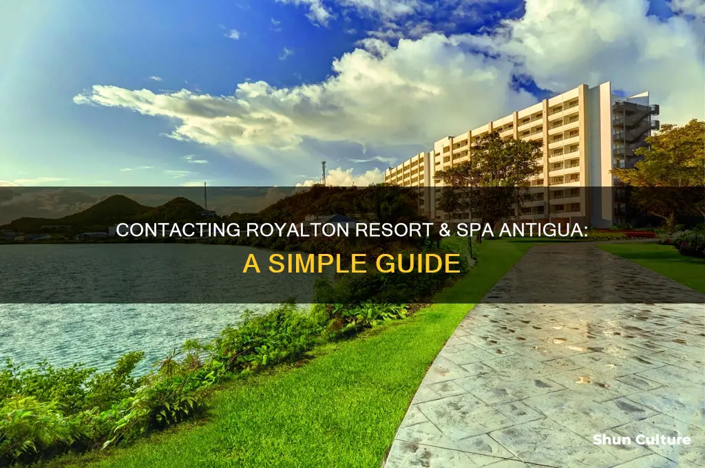 how to contact royalton resort and spa antigua