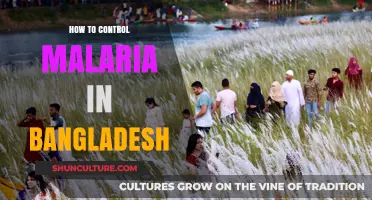 Effective Strategies to Combat and Control Malaria in Bangladesh