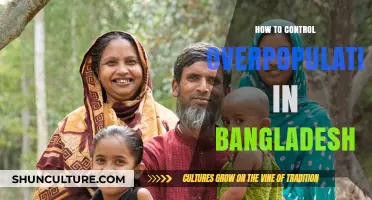 Strategies to Tackle Bangladesh's Overpopulation Crisis Effectively