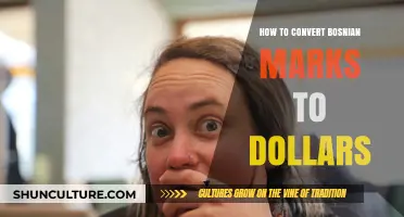 Easy Guide: Converting Bosnian Marks to US Dollars Effortlessly