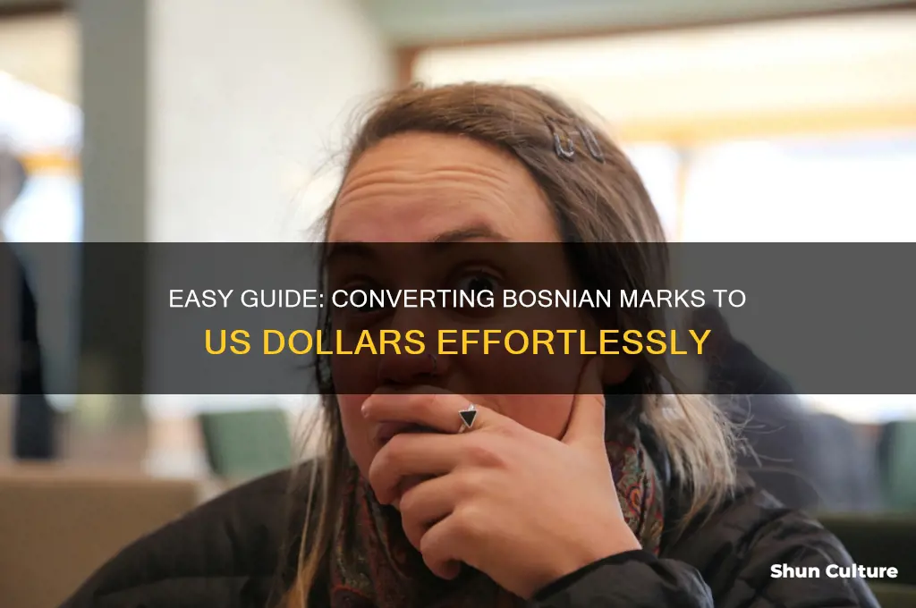 how to convert bosnian marks to dollars