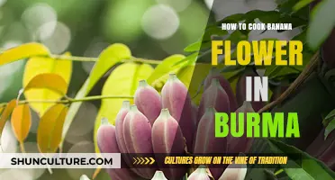 Exploring Burmese Cuisine: A Guide to Cooking Banana Flower