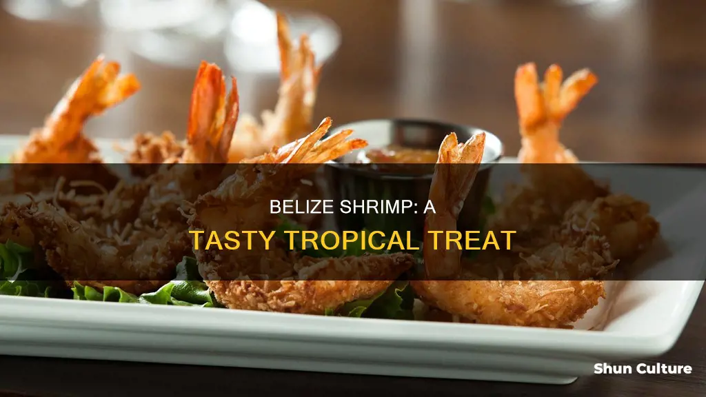 how to cook belize shrimp