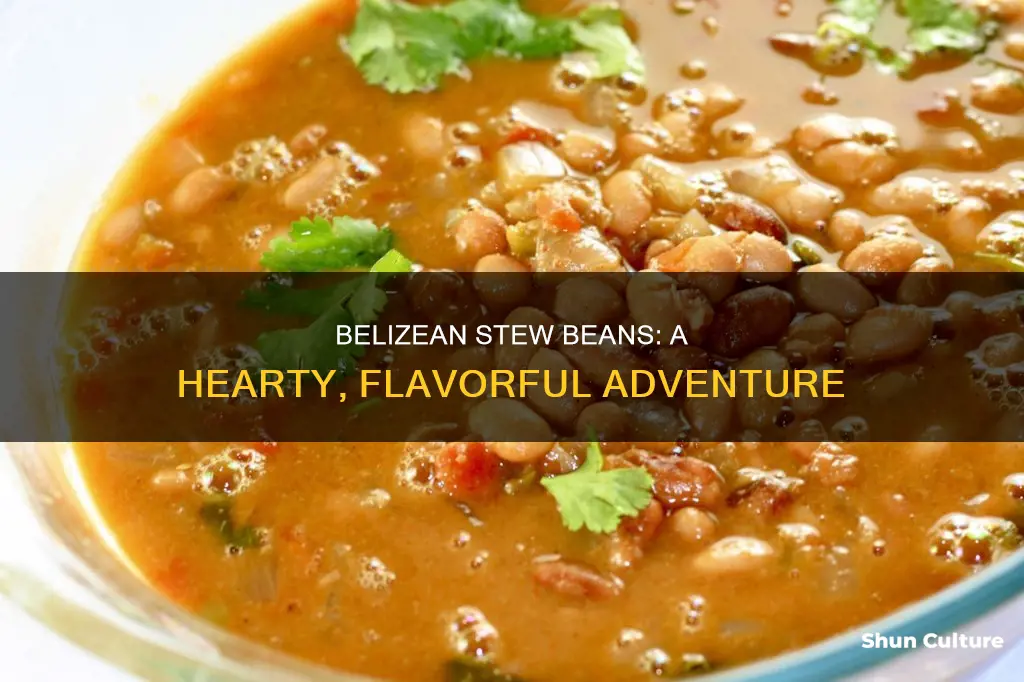 how to cook belizean stew beans