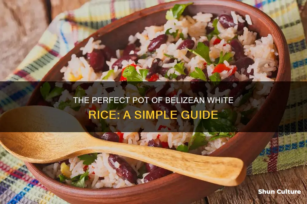 how to cook belizean white rice