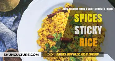 Exploring Burmese Cuisine: A Guide to Exotic Spices and Sticky Rice Delights