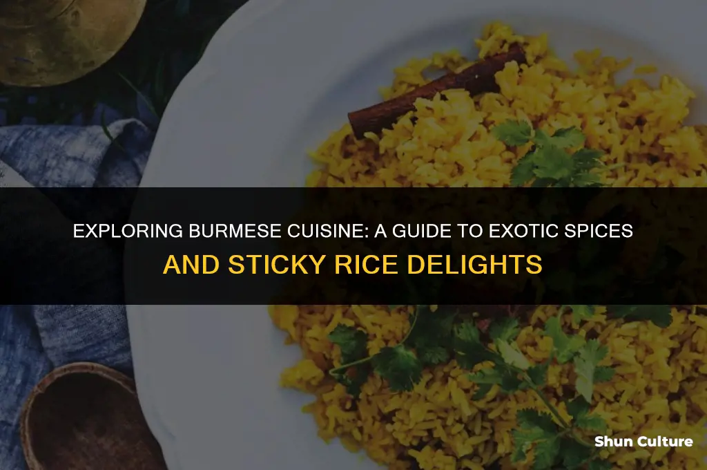 how to cook burma spice gourmet exotic spices sticky rice