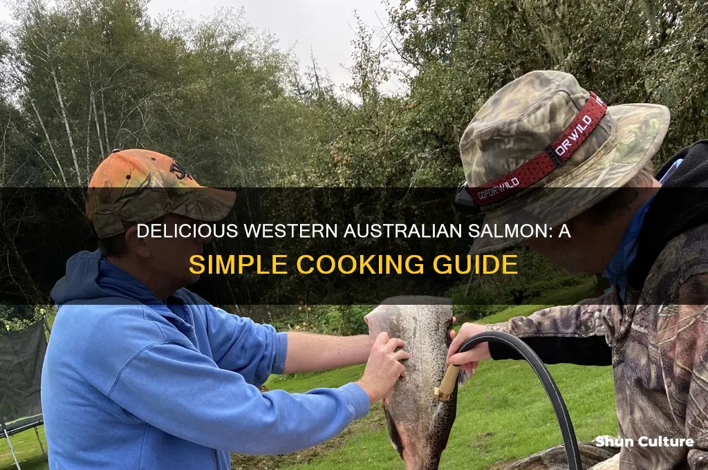 how to cook western australian salmon
