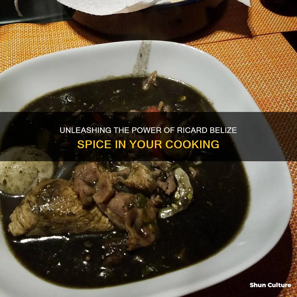 how to cook with ricard belize spice