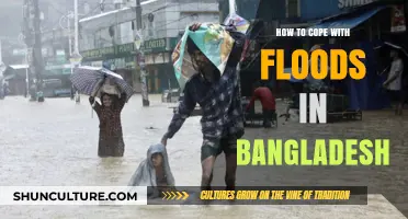 Surviving Bangladesh's Floods: Essential Strategies for Resilience and Recovery