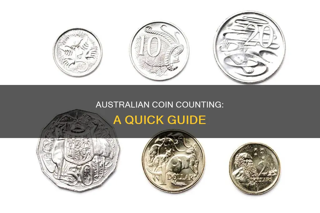 how to count coins australian money