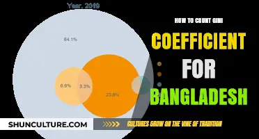 Calculating Bangladesh's Gini Coefficient: A Step-by-Step Guide to Measuring Inequality