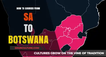 Courier Guide: Shipping from South Africa to Botswana Made Easy