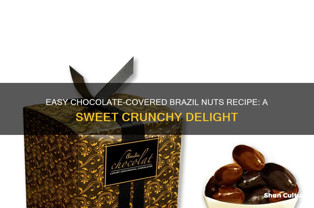 how to cover brazil nuts in chocolate