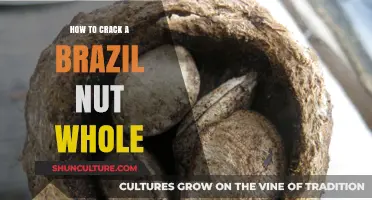 Mastering the Art of Cracking Brazil Nuts Whole: Tips and Tricks