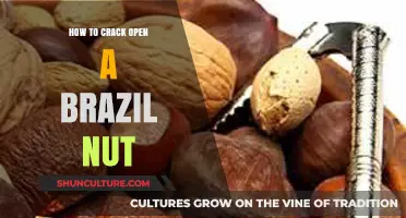 Mastering the Art of Cracking Open Brazil Nuts Effortlessly