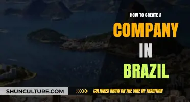Starting a Business in Brazil: A Comprehensive Guide for Entrepreneurs