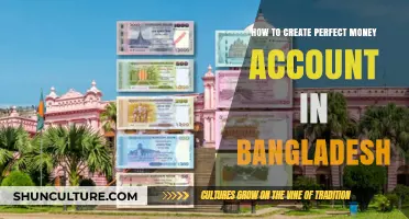 Create a Perfect Money Account in Bangladesh: Step-by-Step Guide