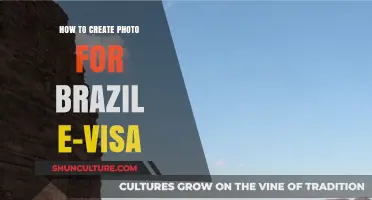 Step-by-Step Guide to Taking Perfect Brazil E-Visa Photos