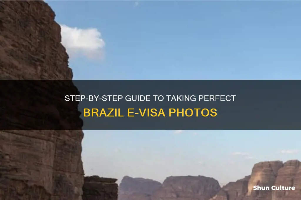how to create photo for brazil e-visa