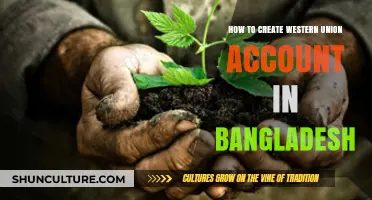 Step-by-Step Guide to Creating a Western Union Account in Bangladesh