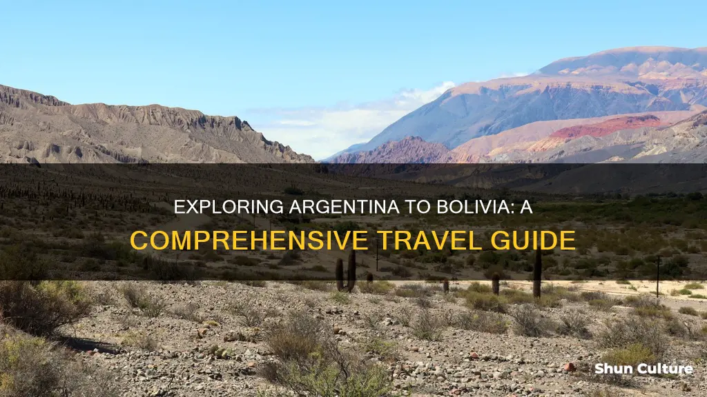 how to cross argentina to bolivia