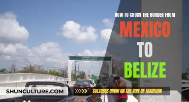 Mexico to Belize: Navigating the Border Crossing