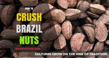 Mastering the Art of Crushing Brazil Nuts: Tips and Techniques