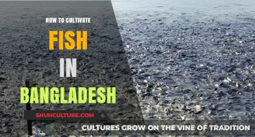 Sustainable Fish Farming in Bangladesh: A Comprehensive Cultivation Guide