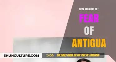 Overcoming Antiguan Anxiety: A Guide to Conquering Fear of Antigua