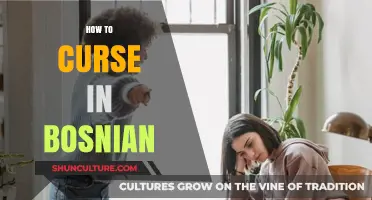 Mastering Bosnian Swear Words: A Guide to Cursing Like a Local
