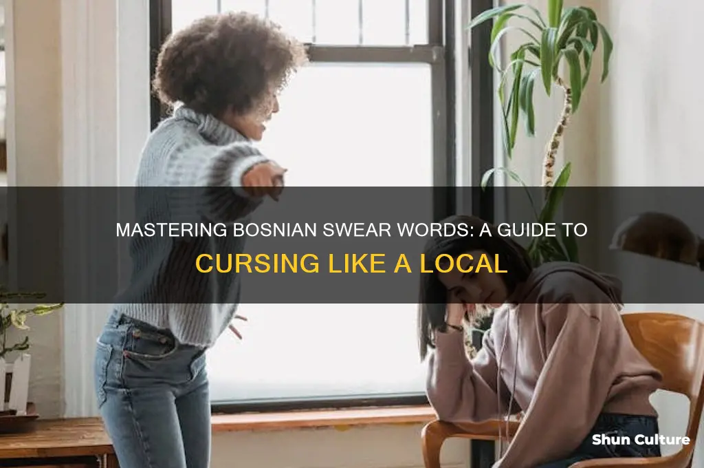 how to curse in bosnian