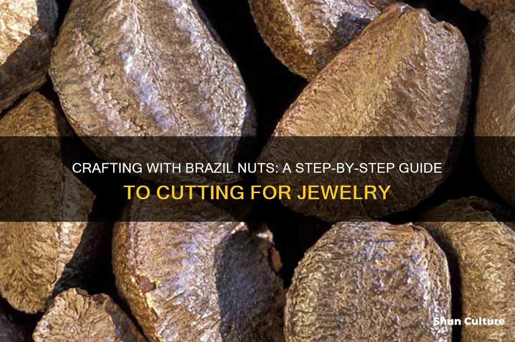 how to cut brazil nut for jewelry