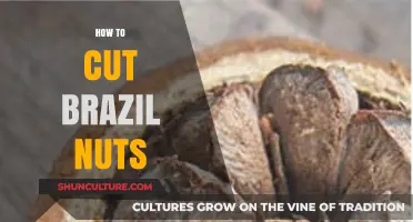 Mastering the Art of Cutting Brazil Nuts: Tips and Techniques