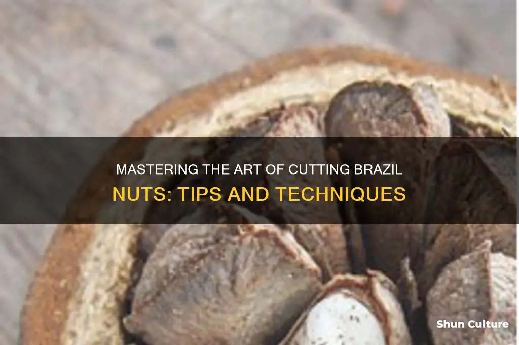 how to cut brazil nuts