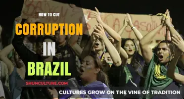 Combating Corruption in Brazil: Strategies for Transparency and Accountability