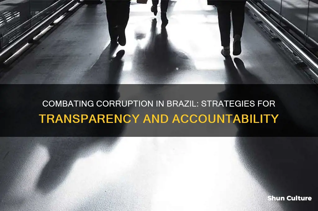 how to cut corruption in brazil