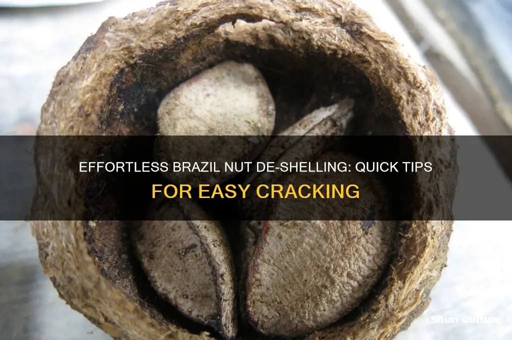 how to de-shell brazil nuts