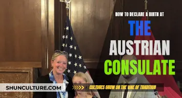 A Comprehensive Guide: Declaring a Birth at the Austrian Consulate