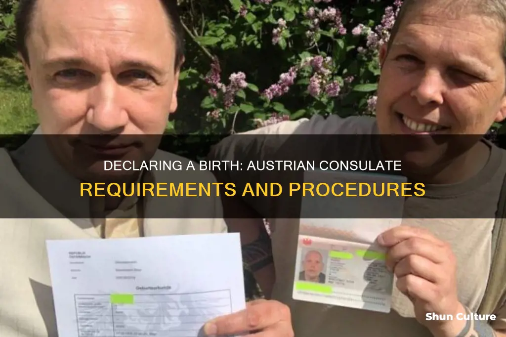 how to declare a birth at the austrian consulate
