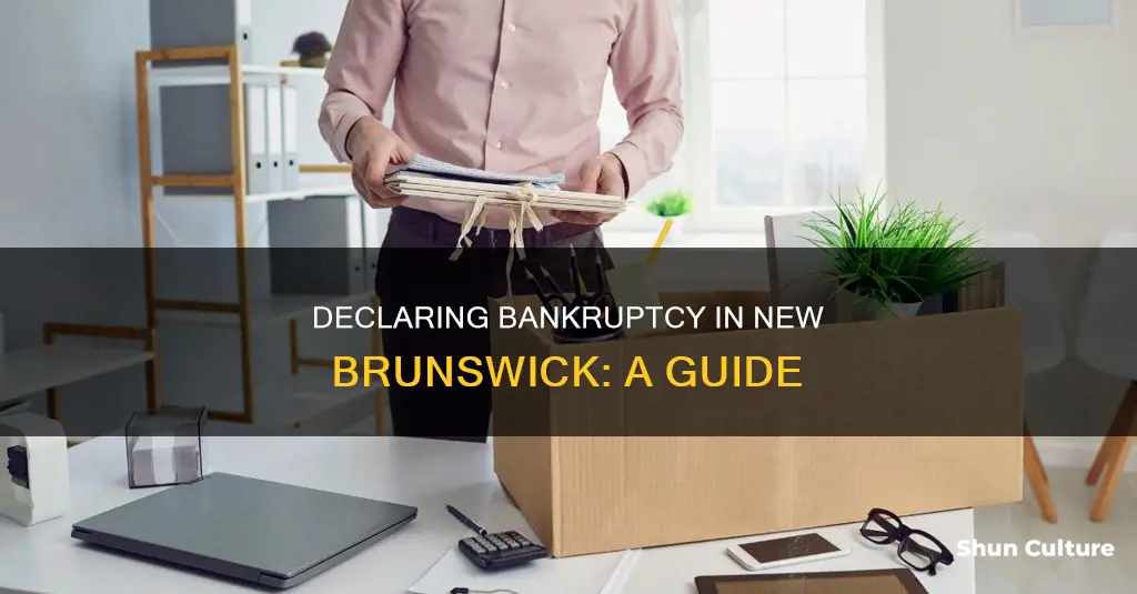 how to declare bankruptcy in new brunswick