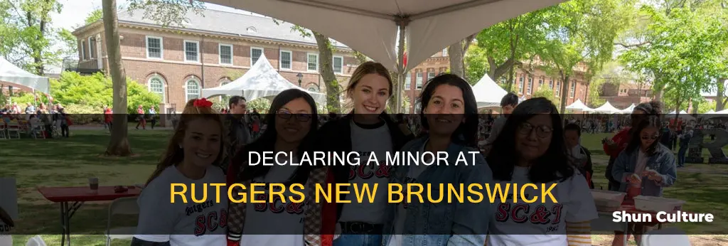 how to declare minor rutgers new brunswick