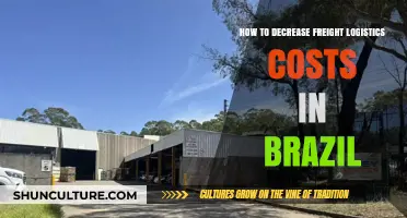 Strategies to Reduce Freight Logistics Costs in Brazil