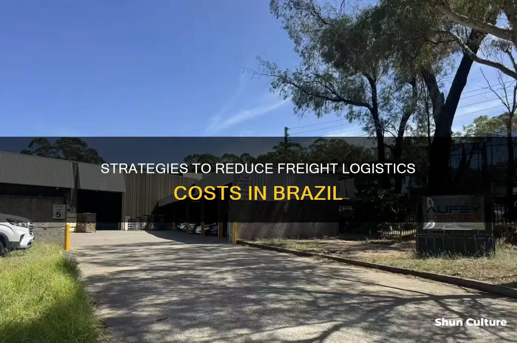 how to decrease freight logistics costs in brazil