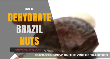 Mastering Dehydration: A Simple Guide to Drying Brazil Nuts