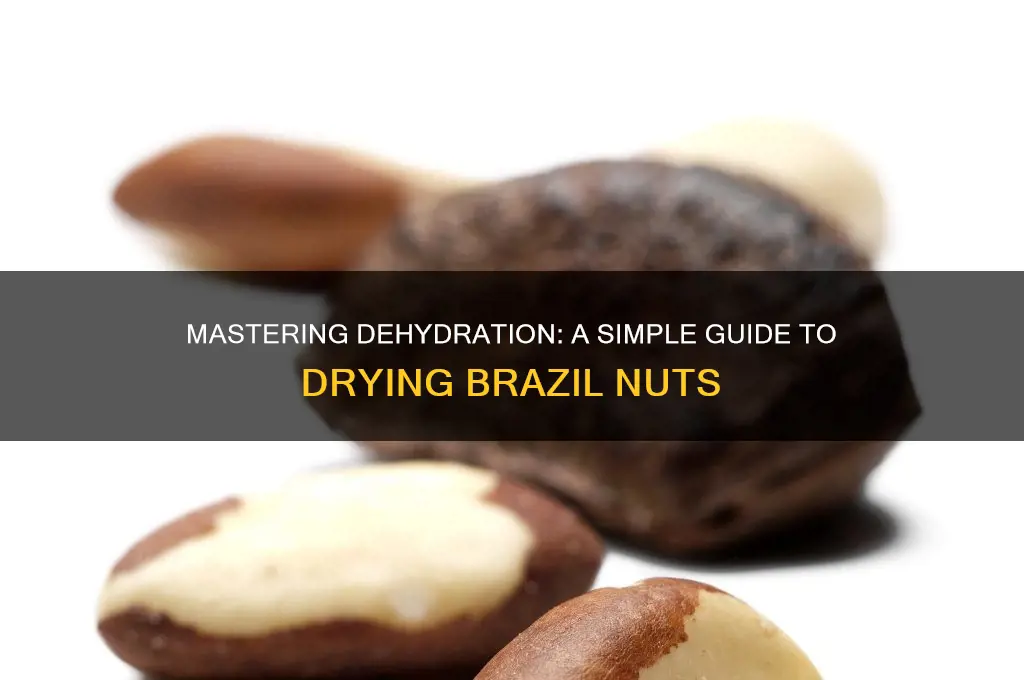 how to dehydrate brazil nuts